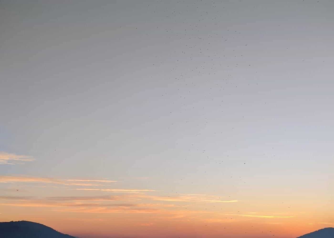 The Huon Valley at dusk