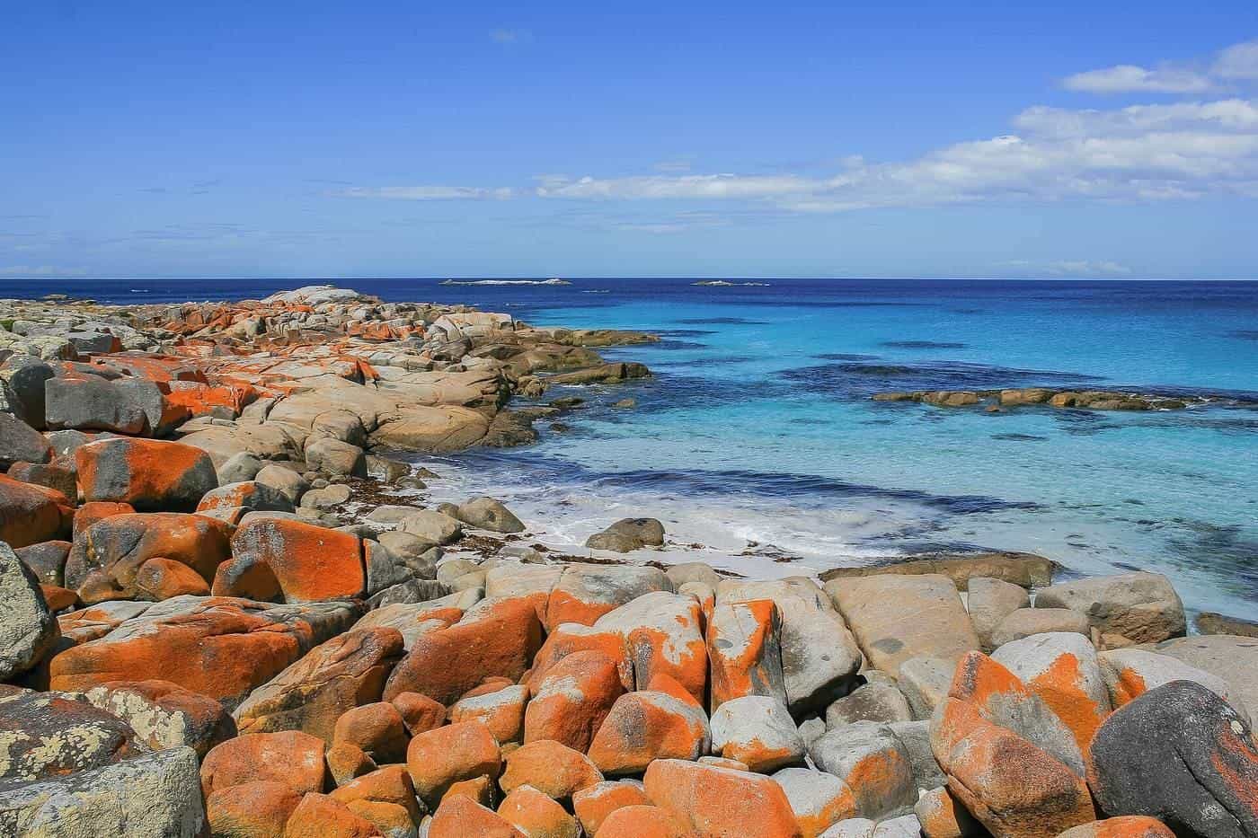 Orange lichen on granite boulders at the Bay of Fires